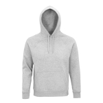 Sweat à capuche unisexe en éco-matériaux 280 g/m² Stellar couleur gris clair chiné