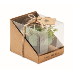 Bougie et bougeoir personnalisé à décoration forestière Forest couleur vert vue principale
