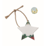 Décoration en forme d'étoile avec papier ensemencé SeedGrow couleur blanc