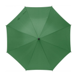 Parapluie personnalisé classique en RPET Ø105 Reciclo Essence couleur vert première vue