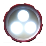 Porte-clés en aluminium avec lampe 3 LED blanches et mousqueton Torch couleur rouge première vue