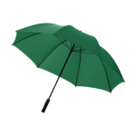 Parapluie avec logo grande taille en polyester 190T Ø130 Royal County couleur vert