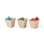 Kit de jardinage avec logo et trois types de graines Kit jardinage DIY couleur naturel  troisième vue