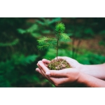 Carnet écologique personnalisé avec des graines A5 pages lignées Grow couleur vert foncé septième vue