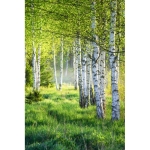 Support pour téléphone portable en bois avec graines de pin Round couleur bois
