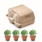 Kit de 4 pots de graines de cresson à personnaliser Eggs couleur beige