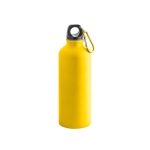 Gourde en aluminium mate avec mousqueton 540 ml Matt Cruiser couleur jaune