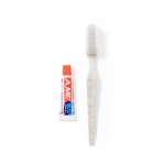 Ensemble de brosse à dents écologique avec dentifrice Viaje Dental couleur naturel première vue