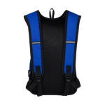 Sac à dos de randonnée déperlant Outdoor Water Repellent couleur bleu roi deuxième vue arrière