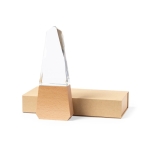 Plaque de trophée en verre épais sur une base en bois couleur transparent  troisième vue