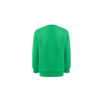 Sweat-shirt en coton et polyester recyclé 300 g/m2 THC DELTA KIDS couleur vert deuxième vue