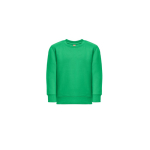 Sweat-shirt en coton et polyester recyclé 300 g/m2 THC DELTA KIDS couleur vert