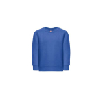 Sweat-shirt en coton et polyester recyclé 300 g/m2 THC DELTA KIDS couleur bleu roi première vue