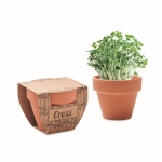 Pot en terre cuite avec graines de cresson et pastille de terre couleur bois