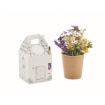 Kit de culture pour enfants graines de fleurs et crayon multicolore couleur multicolore troisième vue