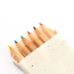 6 crayons de couleur dans boîte en carton avec des graines de pétunia couleur naturel cinquième vue