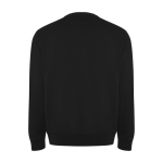 Pull unisexe en coton biologique et polyester recyclé 300 g/m² Roly couleur noir