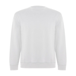 Pull unisexe en coton biologique et polyester recyclé 300 g/m² Roly couleur blanc