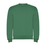 Pull avec logo unisexe en coton et polyester en tricot 280 g/m² Roly couleur vert