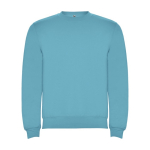 Pull avec logo unisexe en coton et polyester en tricot 280 g/m² Roly couleur turquoise