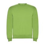 Pull avec logo unisexe en coton et polyester en tricot 280 g/m² Roly couleur vert lime