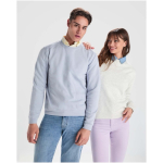 Pull avec logo unisexe en coton et polyester en tricot 280 g/m² Roly couleur bleu foncé image nature morte 2