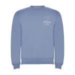Pull avec logo unisexe en coton et polyester en tricot 280 g/m² Roly vue impression sérigraphique