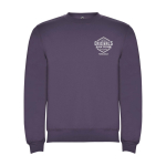 Pull avec logo unisexe en coton et polyester en tricot 280 g/m² Roly vue impression sérigraphique