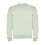 Pull avec logo unisexe en coton et polyester en tricot 280 g/m² Roly