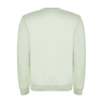 Pull avec logo unisexe en coton et polyester en tricot 280 g/m² Roly deuxième vue arrière