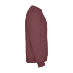 Pull avec logo unisexe en coton et polyester en tricot 280 g/m² Roly deuxième vue latérale