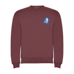 Pull avec logo unisexe en coton et polyester en tricot 280 g/m² Roly vue impression sérigraphique