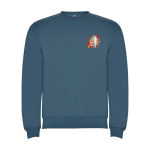Pull avec logo unisexe en coton et polyester en tricot 280 g/m² Roly vue impression sérigraphique