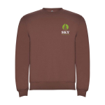 Pull avec logo unisexe en coton et polyester en tricot 280 g/m² Roly vue impression sérigraphique