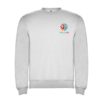 Pull avec logo unisexe en coton et polyester en tricot 280 g/m² Roly vue impression sérigraphique