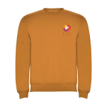 Pull avec logo unisexe en coton et polyester en tricot 280 g/m² Roly vue impression sérigraphique