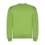 Pull pour enfants en coton et polyester en tricot 280 g/m² Roly couleur vert lime