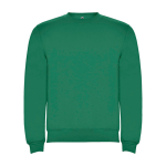 Pull pour enfants en coton et polyester en tricot 280 g/m² Roly
