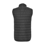 Gilet isolant en polyester avec effet duvet pour homme 290 g/m² Roly couleur gris graphite deuxième vue arrière