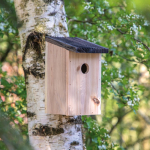 Maison de jardin pour oiseaux avec ouverture de 30 mm et fentes couleur bois cinquième vue