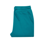 Pantalon de jogging unisexe en coton recyclé 340 g/m² Iqoniq couleur vert émeraude troisième vue