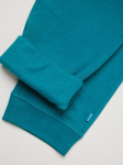 Pantalon de jogging unisexe en coton recyclé 340 g/m² Iqoniq couleur vert émeraude septième vue
