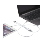 Câble 5-en-1 en aluminium enduit de cuivre avec sortie iOS couleur argenté deuxième vue