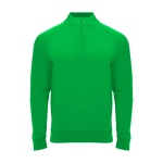 Sweat-shirt enfant à manches longues avec zip court 200 g/m² Roly Langarm-Kinder-Sweatshirt mit Logo, 200 g/m2 Roly couleur vert
