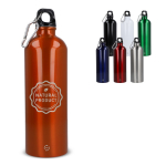Bouteille en acier inoxydable recyclé de couleurs métalliques 750ml couleur noir