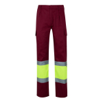 Pantalon de travail unisexe en coton et polyester 210 g/m² Velilla couleur bordeaux deuxième vue