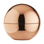 Baume à lèvres à la vanille avec boîtier extérieur brillant FPS 15 couleur champagne deuxième vue frontale