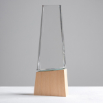 Trophée en verre stylisé avec base en bois pour une touche élégante vue 2