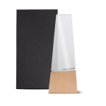 Trophée en verre stylisé avec base en bois pour une touche élégante vue en boîte