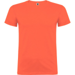 T-shirt en coton à mailles fines 155 g/m² Roly Direct Beagle couleur blanc première vue d'usage
